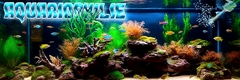 <font color="#0285d2">12</font><font color="#ff0000"> -</font> AQUARIOPHILIE 1
