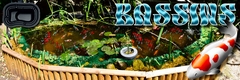 <font color="#0285d2">14</font><font color="#ff0000"> -</font> BASSINS (Intérieurs / Extérieurs)